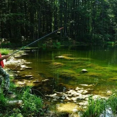 Lake Lebedyn (Sheshory) — 2
