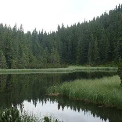 Lake Maricheyka — 2