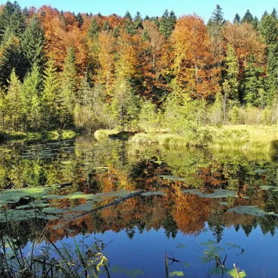 Jezioro Żurawlińskie (Martwe Jezioro) — 3