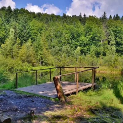 Jezioro Żurawlińskie (Martwe Jezioro) — 5