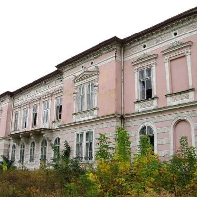 Палац Графа Бадені, Буськ — 2