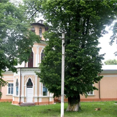Палац Манеску, Чортория — 4