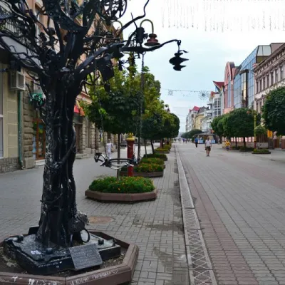 Пам'ятник Дерево щастя, Івано-Франківськ — 2