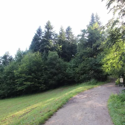Bajków Groń — 4