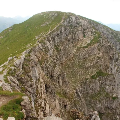 Ciemniak