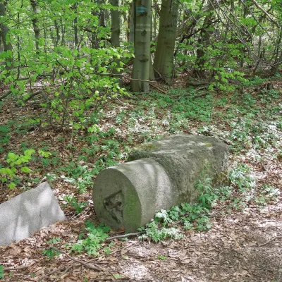 Черенін — 3