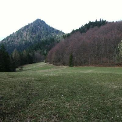Czoło — 3
