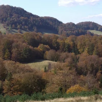 Durbaszka — 2
