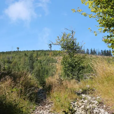 Fabova hoľa