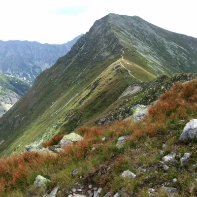 Jakubina — 3