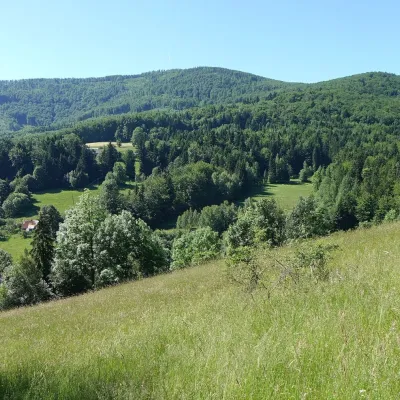 Jałowiec (Pasmo Jałowieckie) — 4