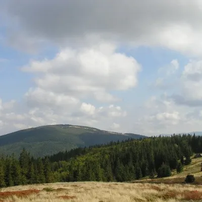 Jałowiec (Pasmo Jałowieckie) — 2