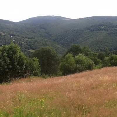 Jałowiec (Pasmo Jałowieckie) — 5