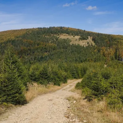 Jałowiec (Pasmo Jałowieckie) — 3