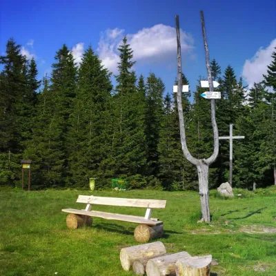 Кошарава