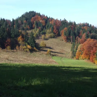 Macelak — 3