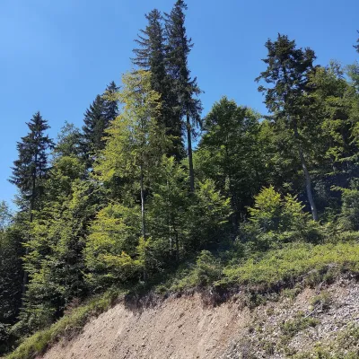 Mount Mahura — 3