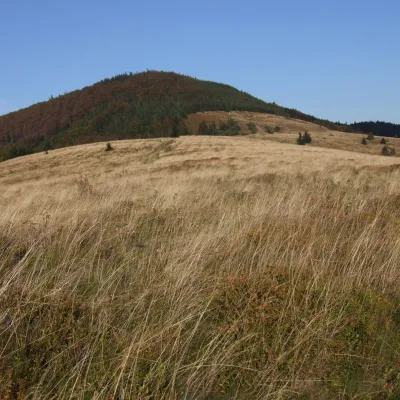 Mogielica — 3