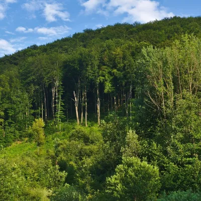 Nežabec — 2