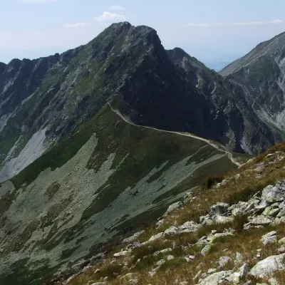 Pachoł — 5