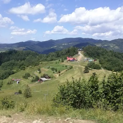 Palenica — 4