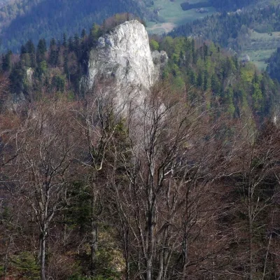 Sokolica — 2