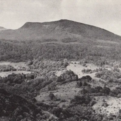 Tarnica — 4