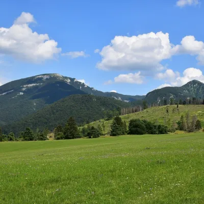 Tlstá — 3
