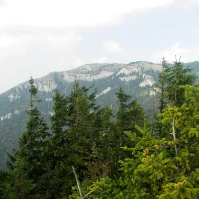 Tlstá — 4