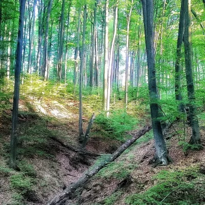 Mount Tsetsyno — 3