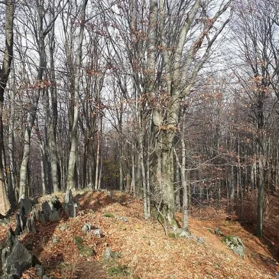 Veľký Milič (Nagy-Milic) — 4