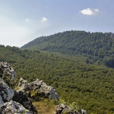 Vysoká (Little Carpathians) — 4