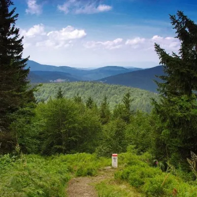 Соблювка