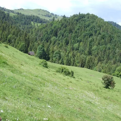 Wysoki Wierch — 4