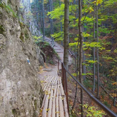Zamkowa Góra — 4