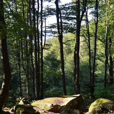 Печера Довбуша, Підзахаричі — 2