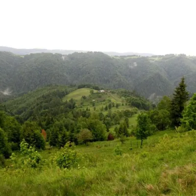 Przełęcz Nimchich, Pidzakharychi — 2
