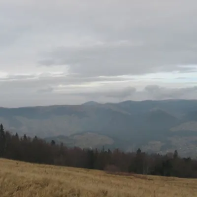 Полонина Борсучина