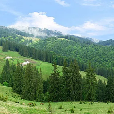 Polonyna Dil — 2