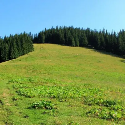 Полонина Псарівка, Бистрець — 2