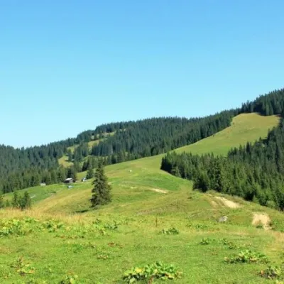 Полонина Псарівка, Бистрець — 3