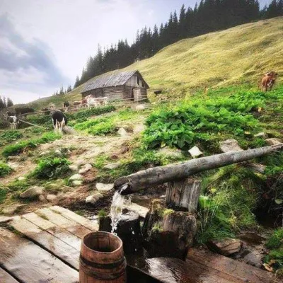 Polonyna Vesnarka, Zelenne — 3