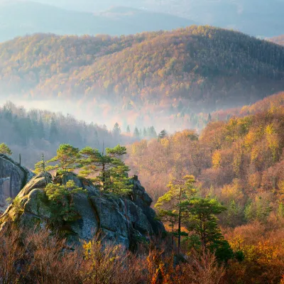 Поляницький регіональний ландшафтний парк