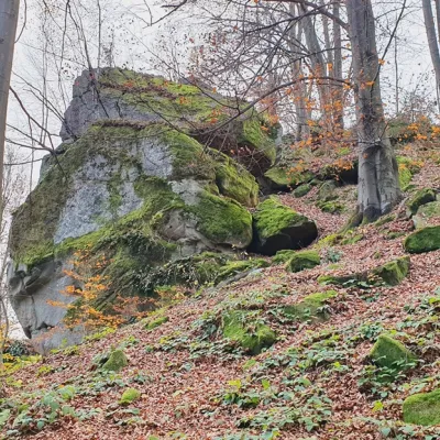 Ripnensky Stone — 3