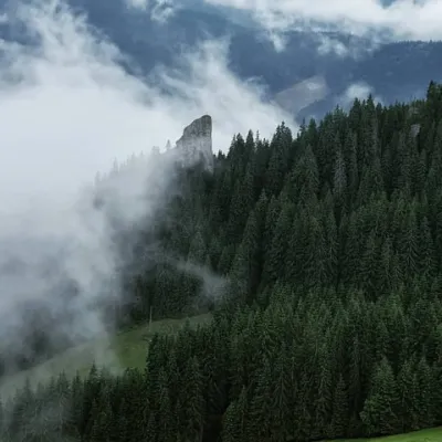 Kamienie węgierskie (węgierskie kamienie), Zielony