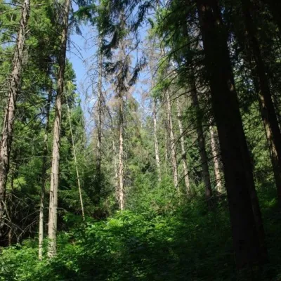 Tysovets tract — 4