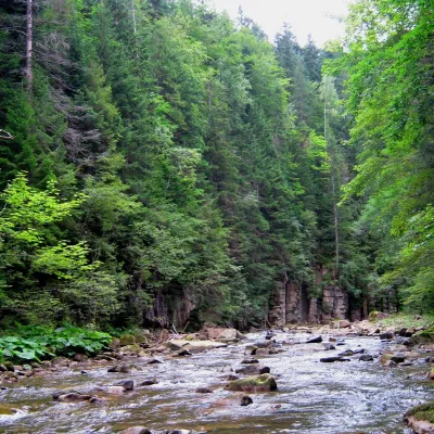Rzeka Bystrzyca Sołotwińska — 2