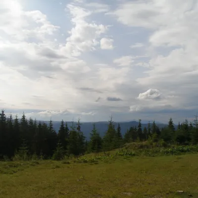 Заказник "Чорний Діл" Сарата