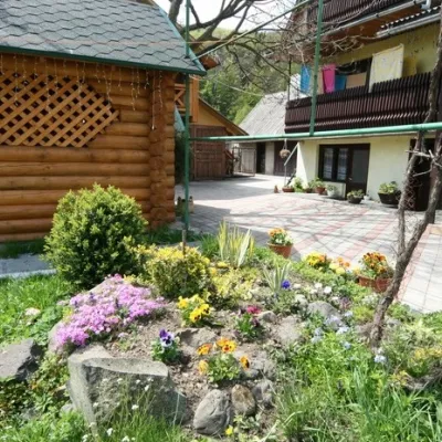 "Чарівна верховинська садиба" Жденієво — 3