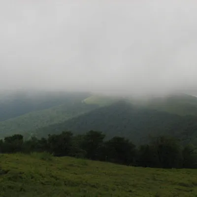 Gospodarstwo "Dersu Uzala" Podobowiec — 5